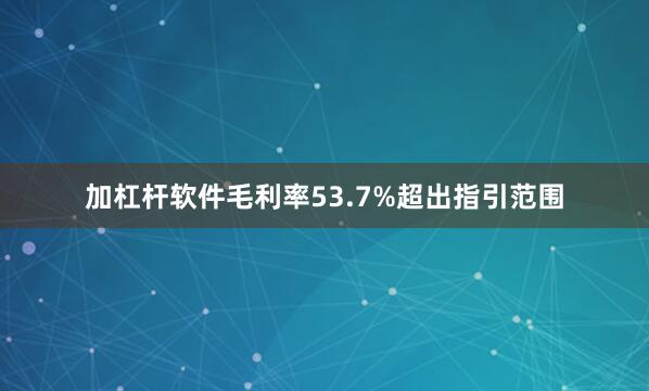 加杠杆软件毛利率53.7%超出指引范围