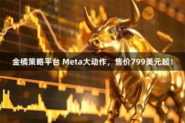 金橘策略平台 Meta大动作，售价799美元起！