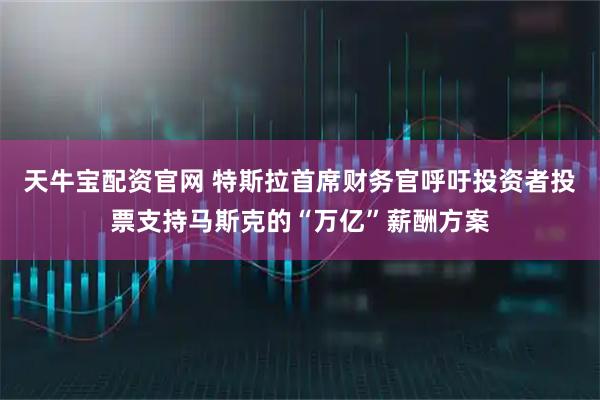天牛宝配资官网 特斯拉首席财务官呼吁投资者投票支持马斯克的“万亿”薪酬方案