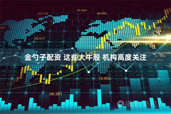 金勺子配资 这些大牛股 机构高度关注