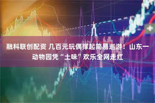 融科联创配资 几百元玩偶撑起简易巡游！山东一动物园凭“土味”欢乐全网走红